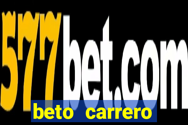 beto carrero cidades proximas